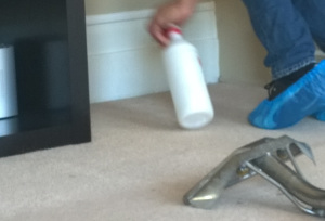 carpet cleaning Camden NW
