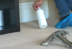 carpet cleaning Islington N