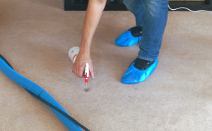 carpet cleaning services North Dulwich SE24