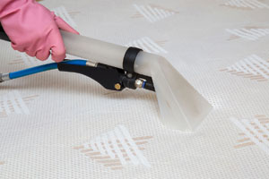 Local Mattress Cleaning North Dulwich