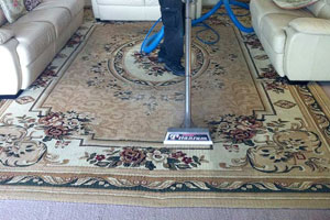 Local Rug Cleaners North End